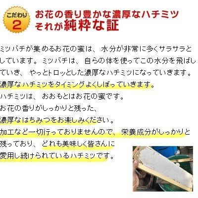 はちみつ 国産 純粋 非加熱 はちみつ1kg2本セット 生産直売 岐阜県産