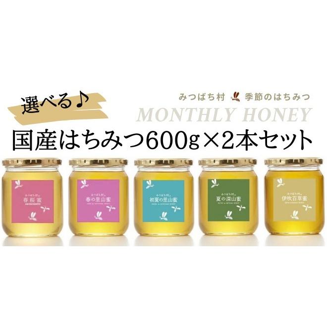 国産はちみつ 600g2本セット 純粋 非加熱 岐阜県産 蜂蜜 春日 国産はちみつ 600g2本セット 純粋 非加熱 岐阜県産 蜂蜜 春日