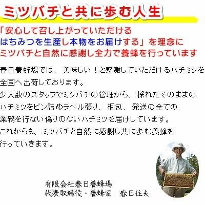 国産はちみつ 600g2本セット 純粋 非加熱 岐阜県産 蜂蜜 春日 国産はちみつ 600g2本セット 純粋 非加熱 岐阜県産 蜂蜜 春日