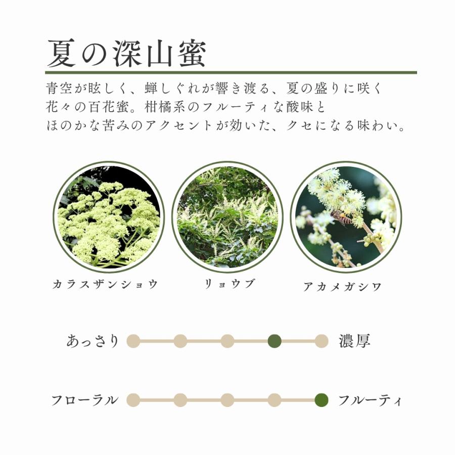 養蜂家から直送! 国産はちみつ 600g2本set 純粋 非加熱 岐阜県産 蜂蜜