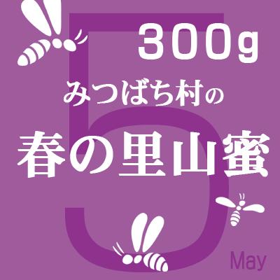 はちみつ 国産 純粋 春の里山蜜300g  岐阜県産 |  | 01