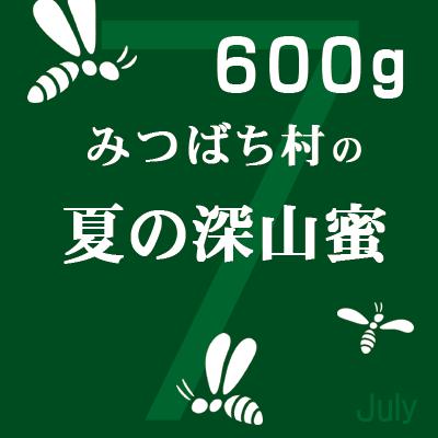 国産 はちみつ 夏の深山蜜600g 純粋 非加熱 蜂蜜 ハチミツ 岐阜 国産 はちみつ 夏の深山蜜600g 純粋 非加熱 蜂蜜 ハチミツ 岐阜
