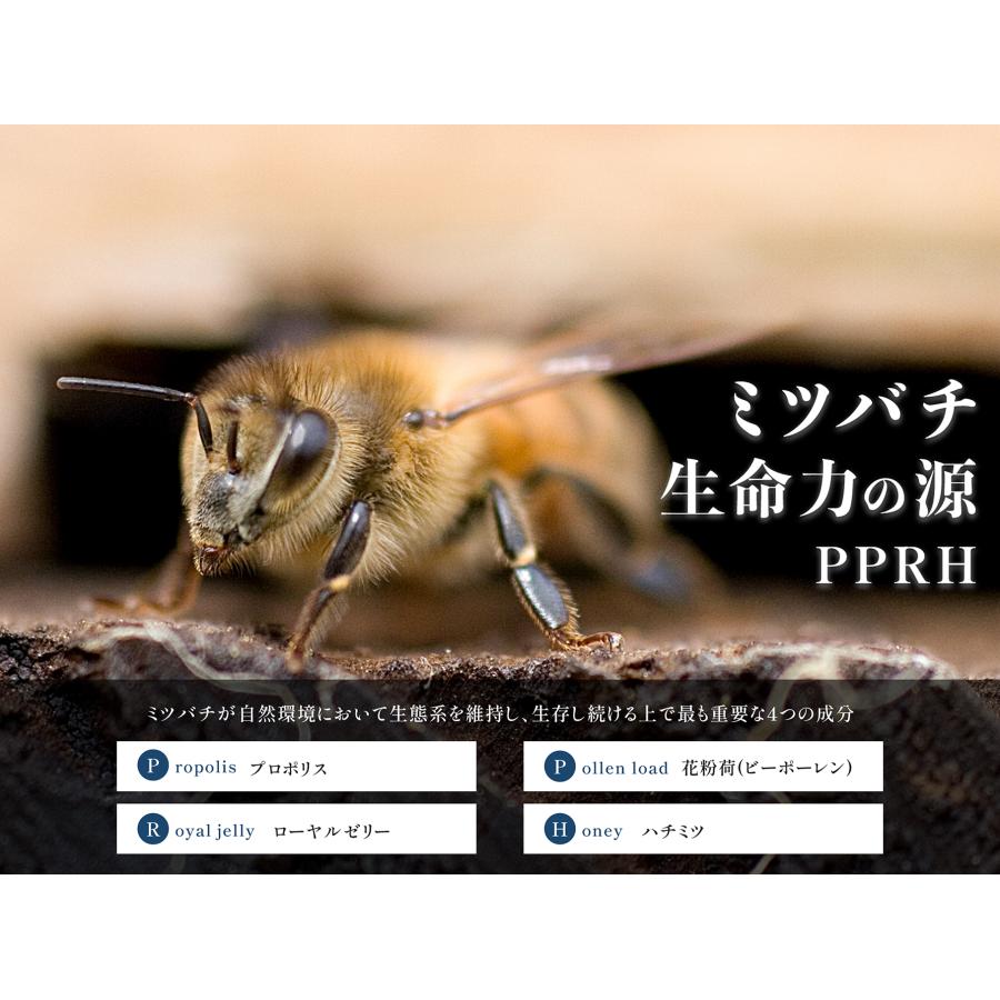 特製スペシャルＰＰＲＨ250g　ハチミツ　プロポリス　ローヤルゼリー　スペシャルハチミツ　自然食品　健康食品　美容　ダイエット　病気　健康寿命 |  | 01