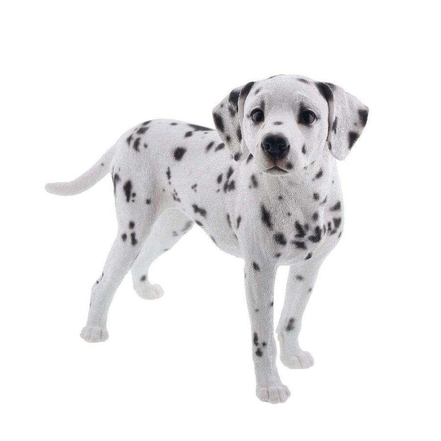 最新情報 Benny S ダルメシアン Qy 148 新着商品 Www Doctor Plan Com