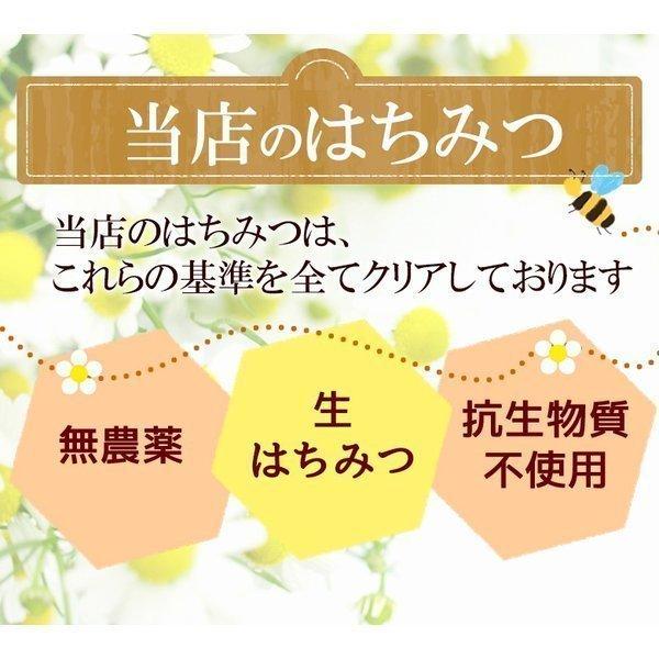 ハニーランド クローバーハニー H0 マヌカ専門店ハニーグリーンベイ 通販 Yahoo ショッピング