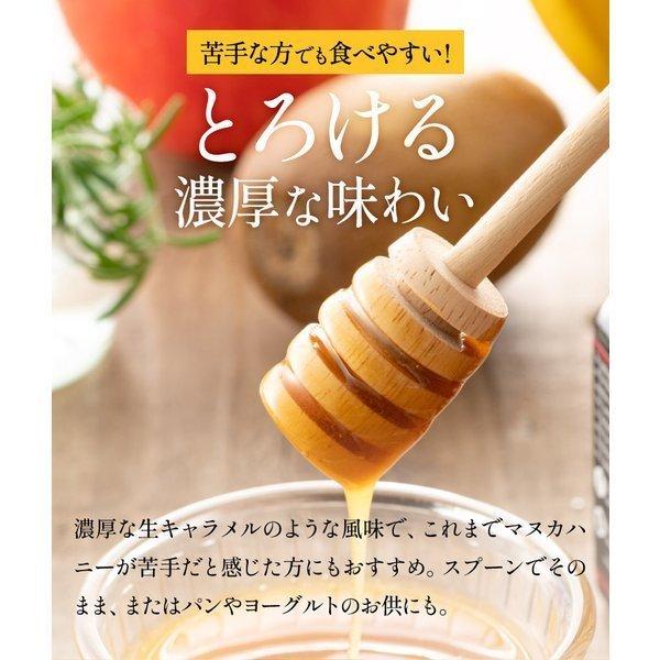 マヌカハニー Umf13 Mgo400以上 Native Originz 250g 送料無料 毎日発送 Native13plus マヌカハニー専門店グリーンベイ 通販 Yahoo ショッピング