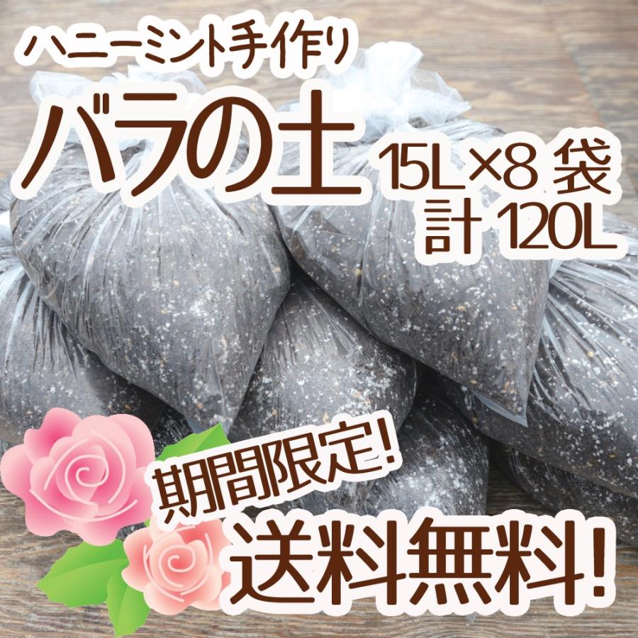 フォトカ バラ売り 赤いバラのプリザーブドフラワーの写真立て（フォトフレーム） L