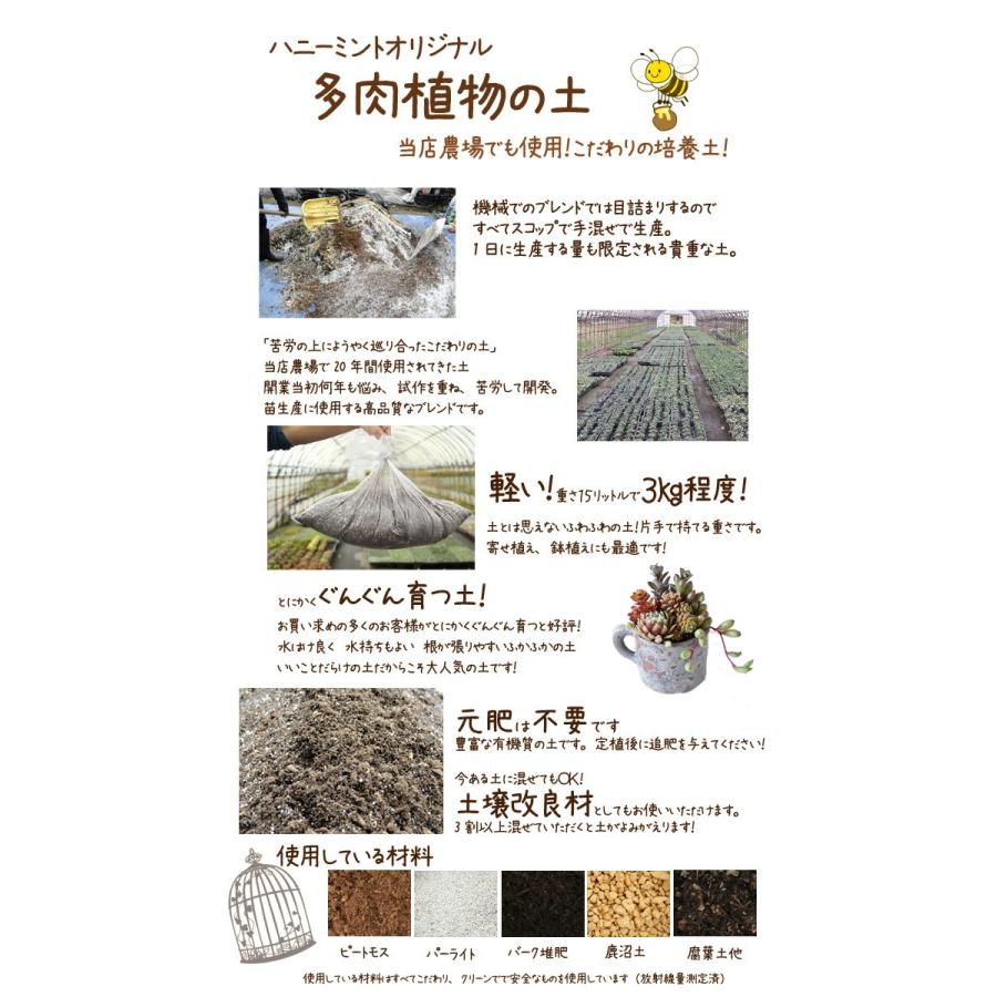 当店農場生産 多肉植物 セダムの土 15リットル入1袋 多肉植物が元気に育つ ハニーミント 通販 Yahoo ショッピング