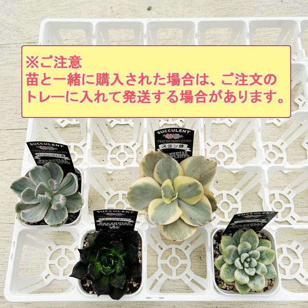 日本ポリ鉢販売 システムトレー75CS白 プレステラ75 40個用 1枚 ※花苗