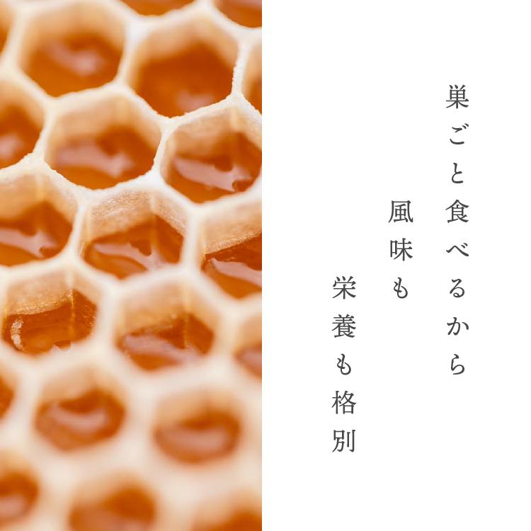［バナナマンのせっかくグルメ！！で紹介］ コムハニー  天然 巣蜜 340g - 巣みつ コームハニー comb honey 純粋 非加熱 はちみつ | ハニーマザー | 03