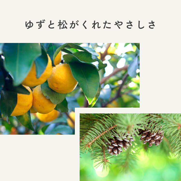 ボタニカルマルチクリーナー 200ml 無添加 オーガニック 植物由来成分 除菌 家具 掃除 優しい | ハニーマザー | 11