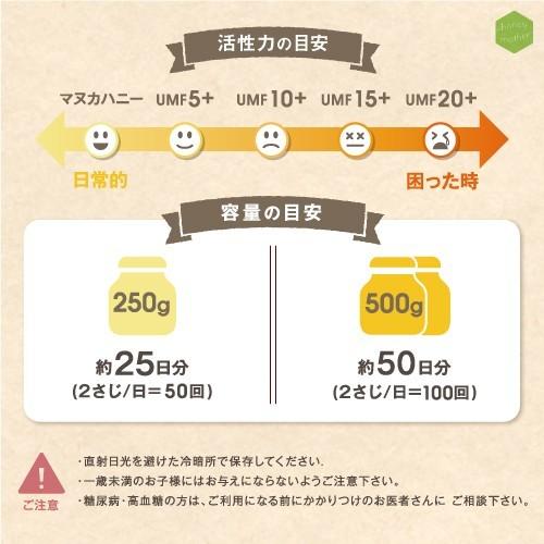 モノフローラル マヌカハニー 500g はちみつ ハチミツ 蜂蜜 非加熱 Mgo 50 Organic Manuka Honey 500 ハニーマザー 通販 Yahoo ショッピング