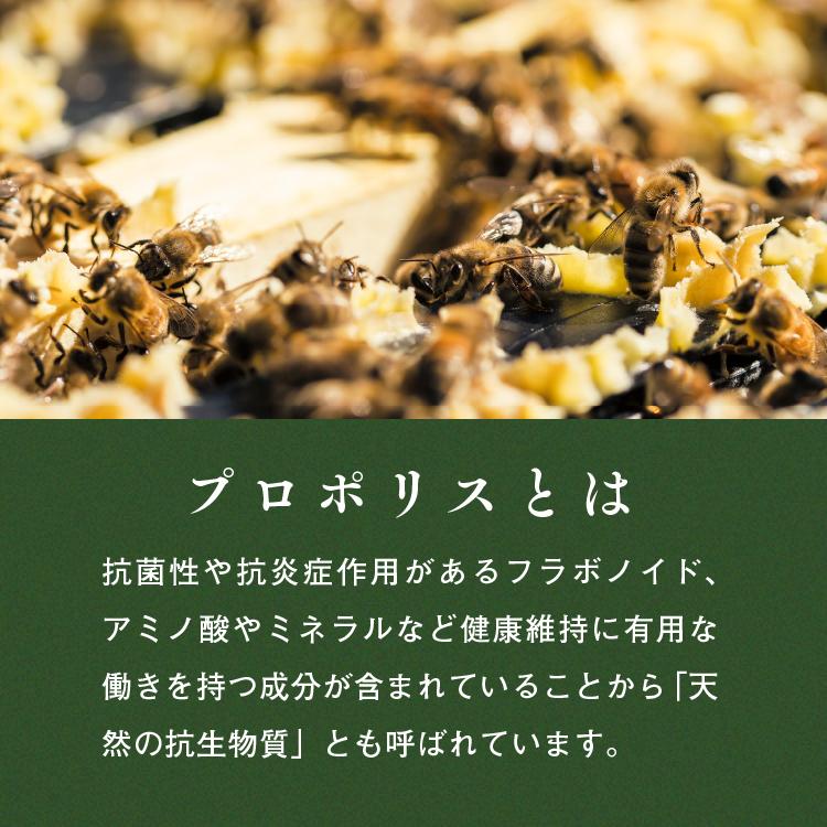 ピュア プロポリス 25ml 高濃度 30% | ハニーマザー | 03