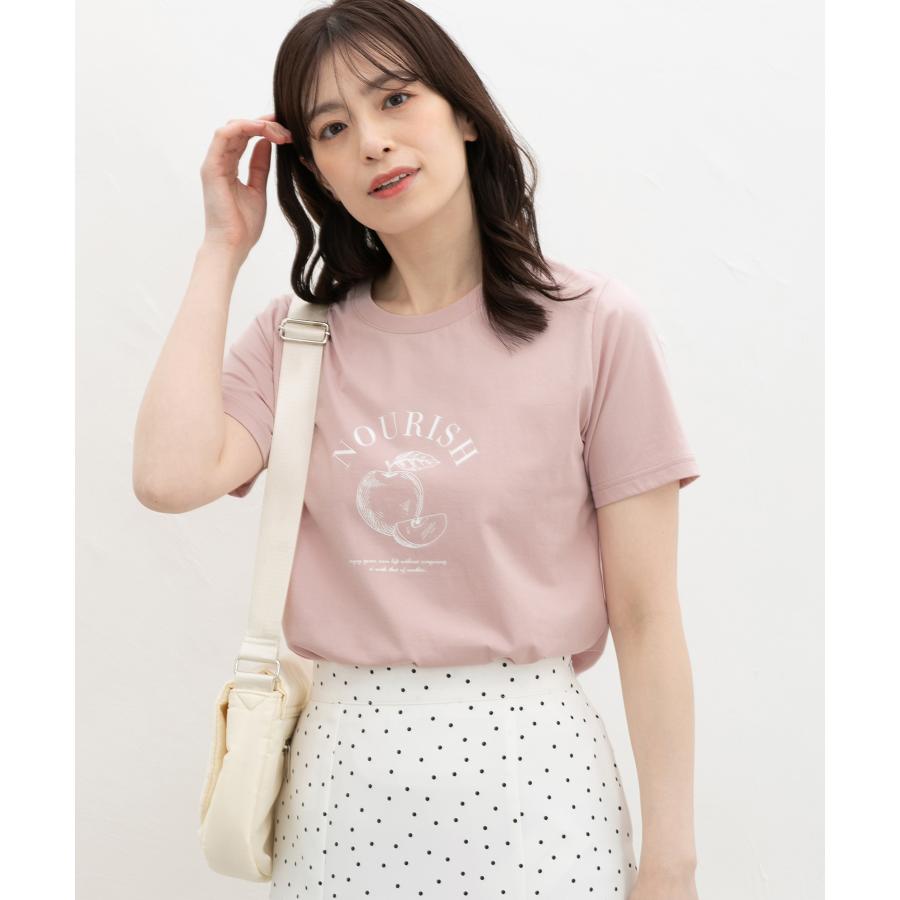 トップス レディース 半袖 カットソー 半袖カットソー Tシャツ 春 秋 