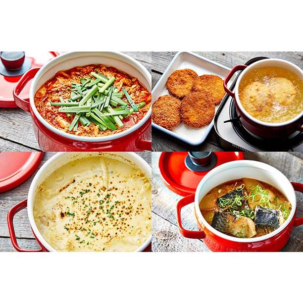 S.O.L.I.D ホーロー 琺瑯 ほうろう 送料無料 両手鍋 富士ホーロー