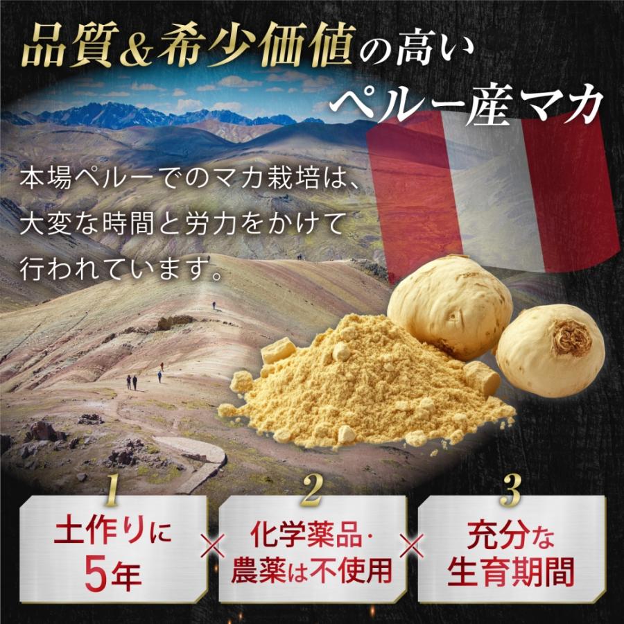マカ 40万mg [レビュー投稿1袋プレゼント] サプリメント シトルリン