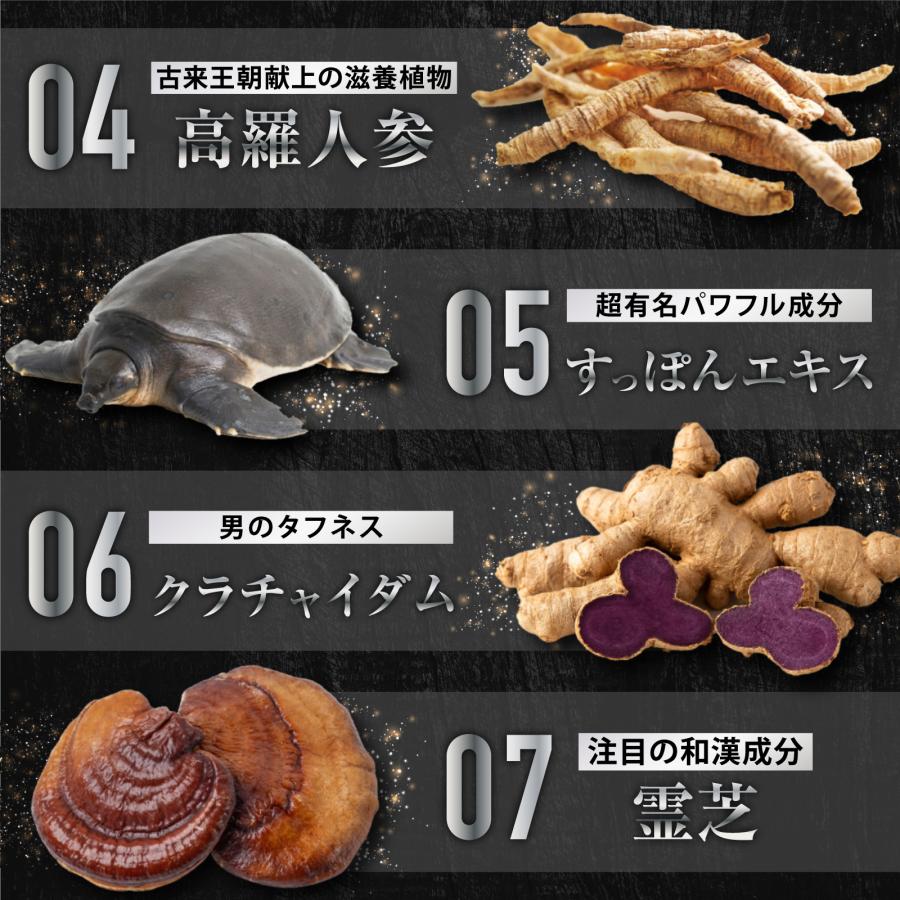 マカ 40万mg [レビュー投稿1袋プレゼント] サプリメント シトルリン
