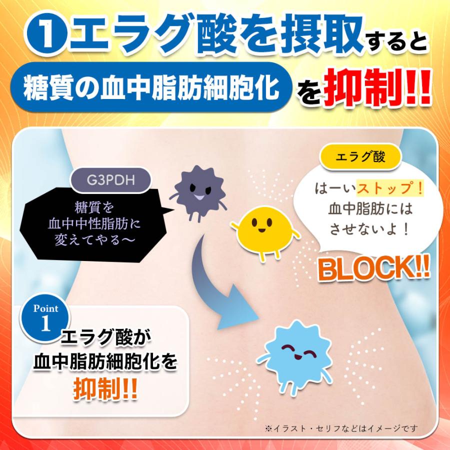 ダイエット サプリ 体脂肪 中性脂肪 内臓脂肪 ウエスト 減らす エラグ酸 サプリメント ダイエット食品 カルニチン シボヘルス premium｜hongo-company｜04