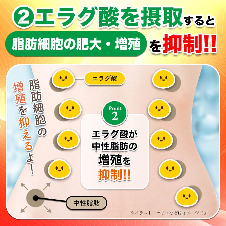 ダイエット サプリ 体脂肪 中性脂肪 内臓脂肪 ウエスト 減らす ダイエット サプリ 体脂肪 中性脂肪 内臓脂肪 ウエスト 減らす