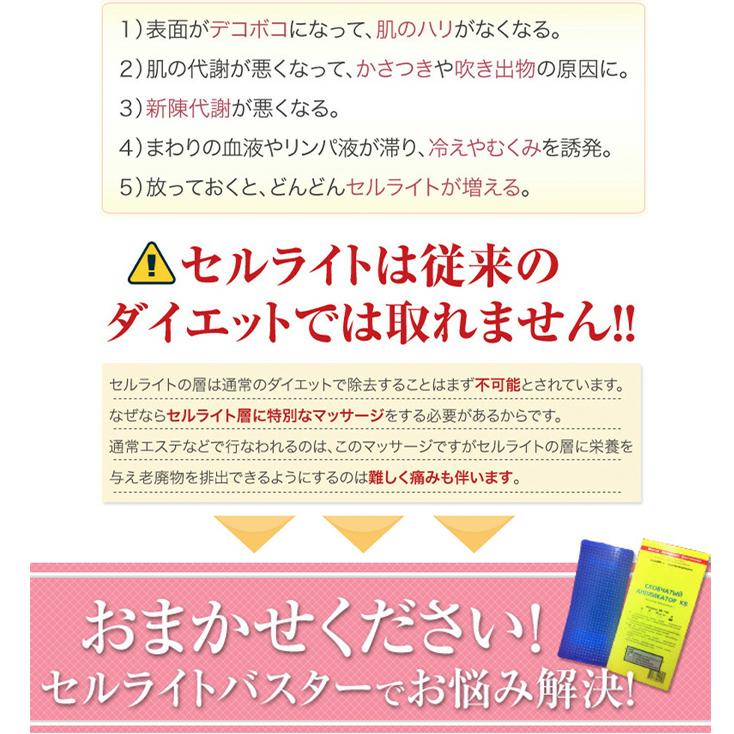 NEVOTON セルライトバスターL（ラージ）セルライト除去 ロシアの新技術