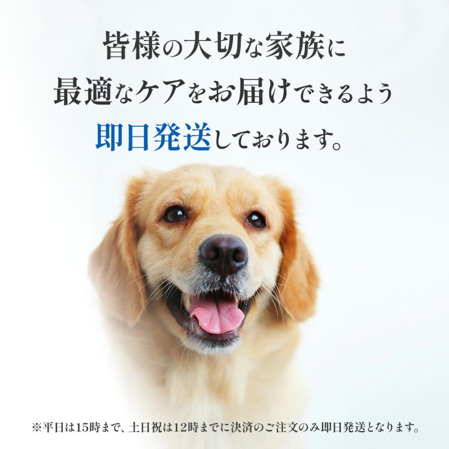 NEVOTON 【即日発送】ペット用 酸素室 オキシボックスS 犬 猫 小型犬