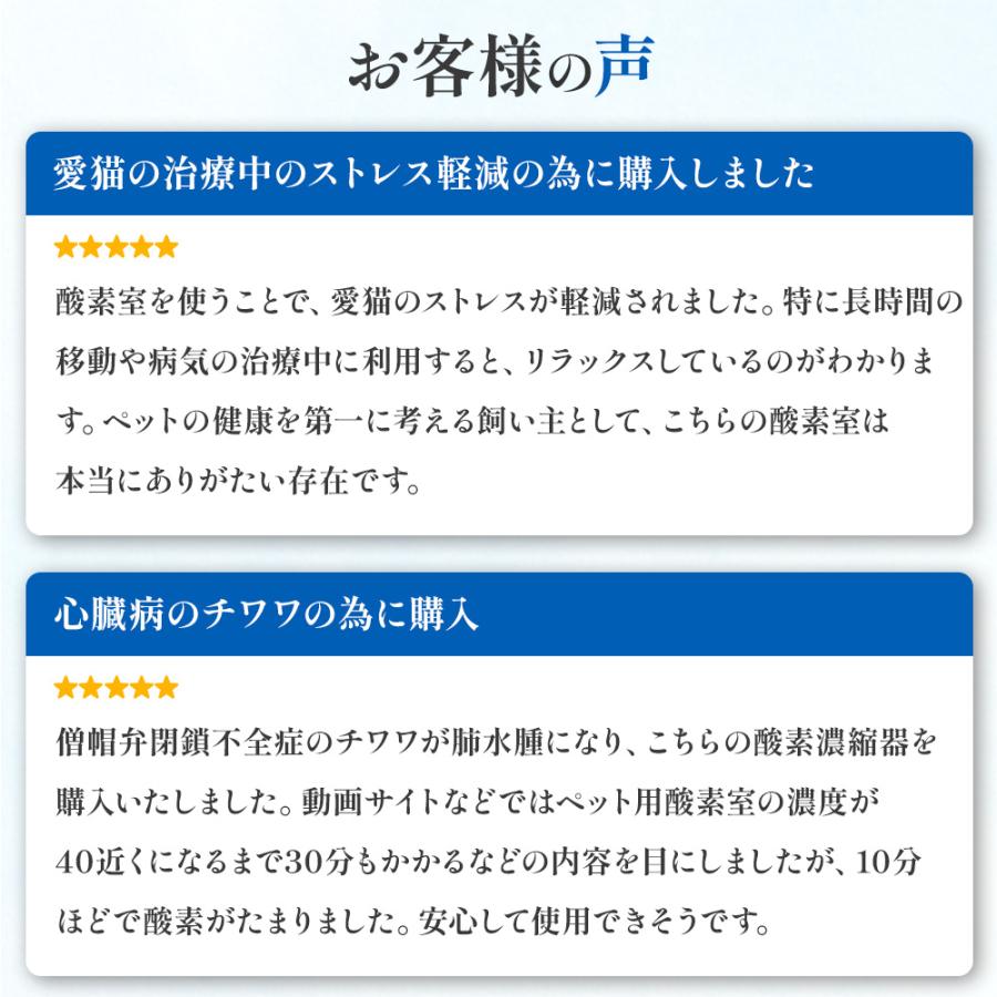 1,000円OFFクーポン 期間・台数限定配布中！NEVOTON オキシボックスS