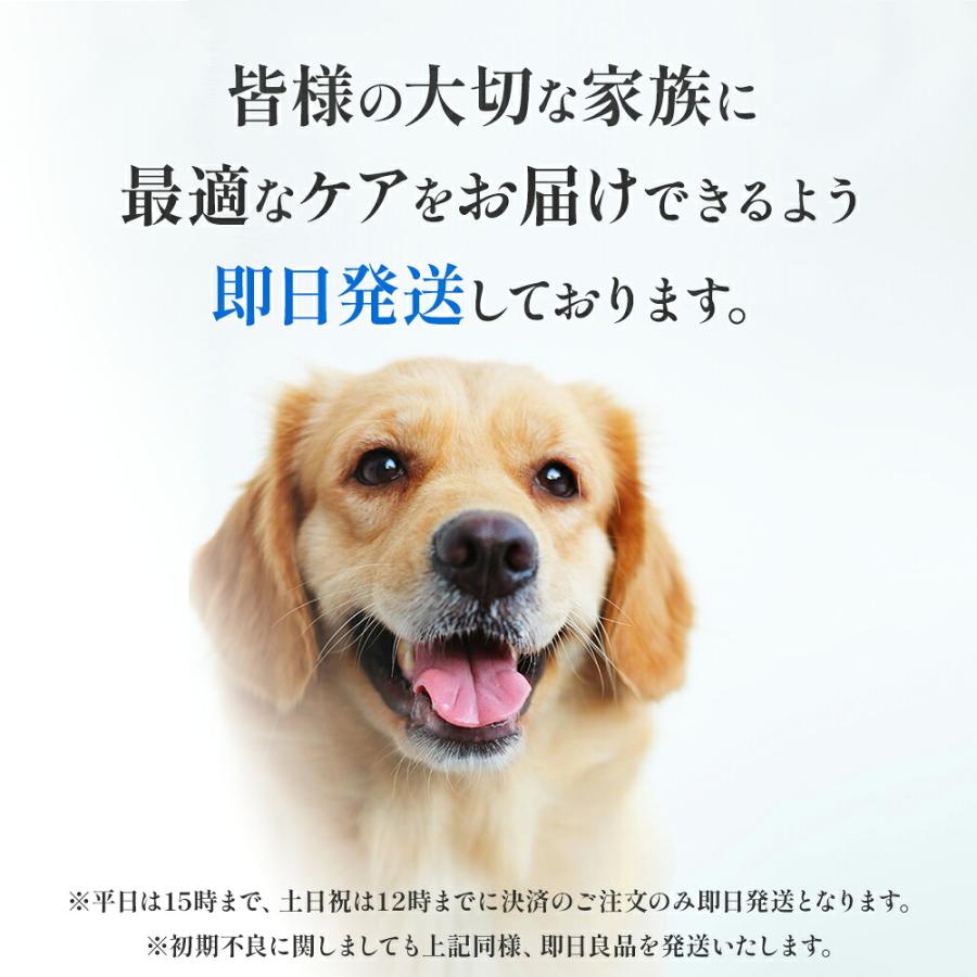 NEVOTON 【獣医師監修 即日発送】酸素濃縮器 MAF mini 1.5 ペット用