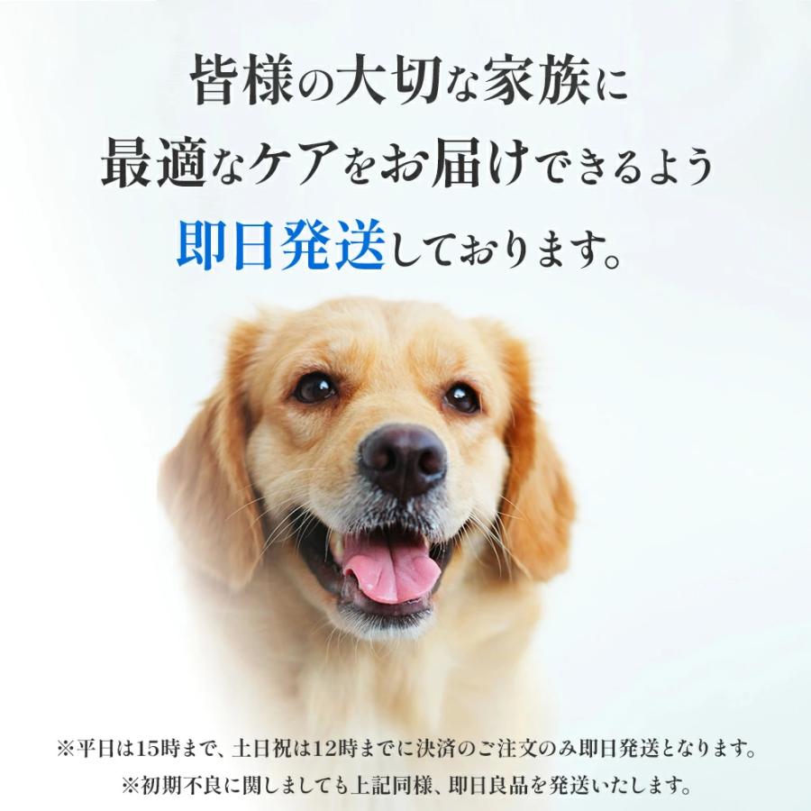 NEVOTON 【獣医師監修】3,200円OFFクーポン限定配布中！ 高性能酸素