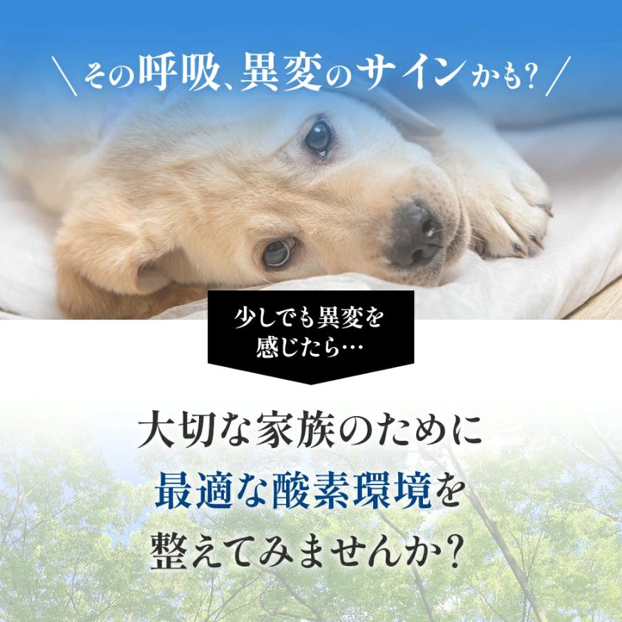 NEVOTON 【獣医師監修】5,000円OFFクーポン 期間・台数限定配布中！ 高