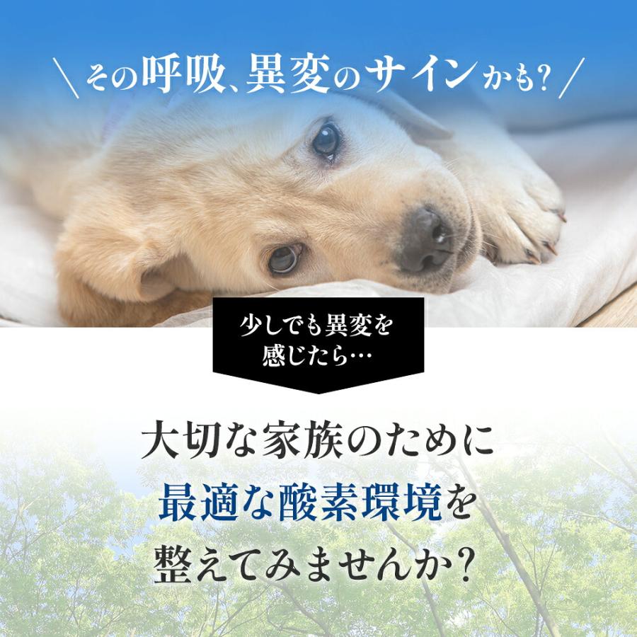 NEVOTON 【獣医師監修 即日発送】犬 猫 酸素室 2点セット S 1.0 セット
