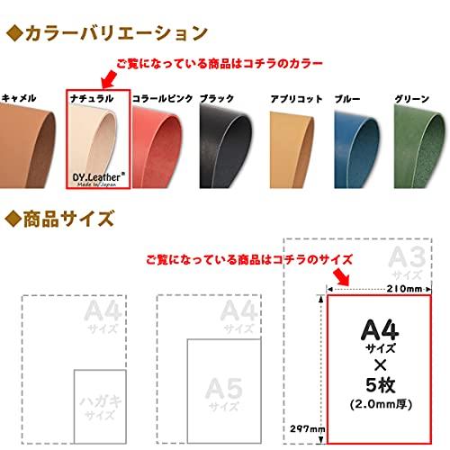 【DY.Leather 】ヌメ革【A4×5|ナチュラル|2.0mm厚|革質7】 DY.Leather 日本製 タンニンなめし レザークラフトパー｜honki-benri｜02