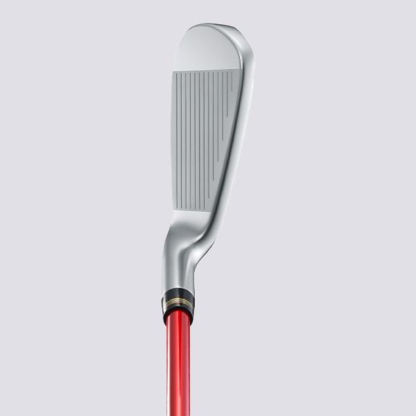 BERES 【20％OFF】本間ゴルフ レディース アイアン セット 2024年