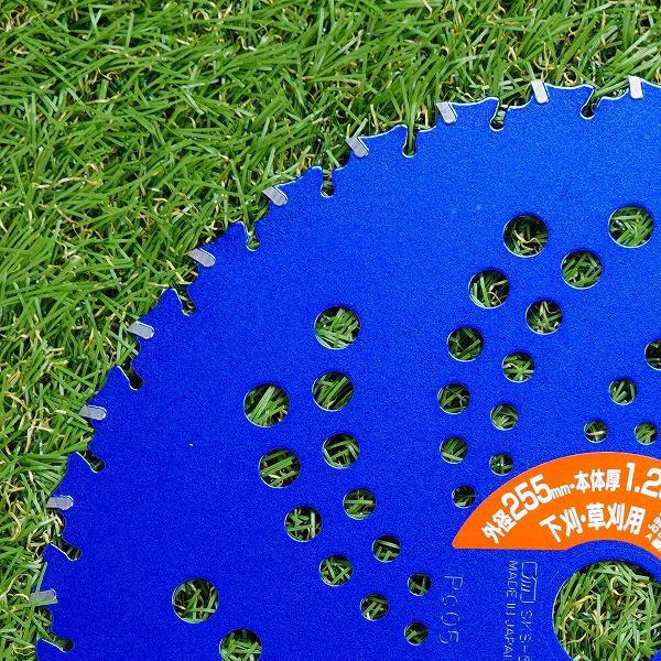 ブルーシャーク チップソー 255×36P 5枚 刈払機 草刈り : ほんまもん