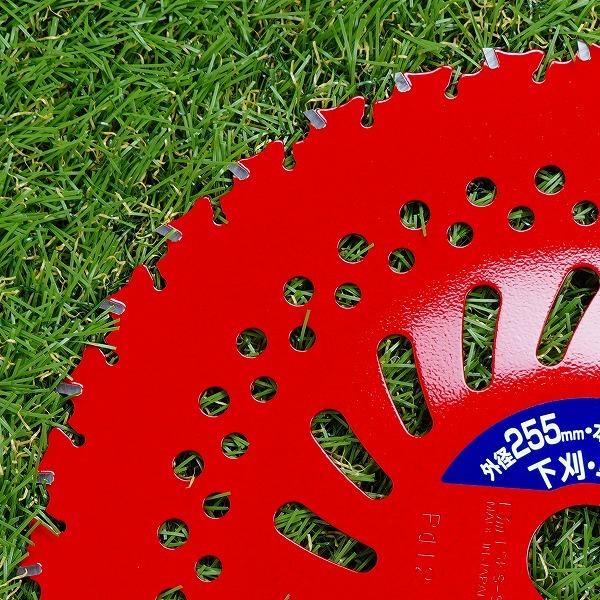 レッドシャーク チップソー 255×36P 5枚 刈払機 草刈り : ほんまもん