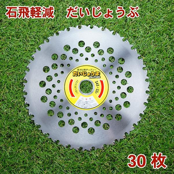 パキラムーンライトA１２・複数接ぎ木・枝分岐パラソル仕立て/無機質用土 パキラムーンライトA12・複数接ぎ木・枝分岐パラソル仕立て/無機質用土