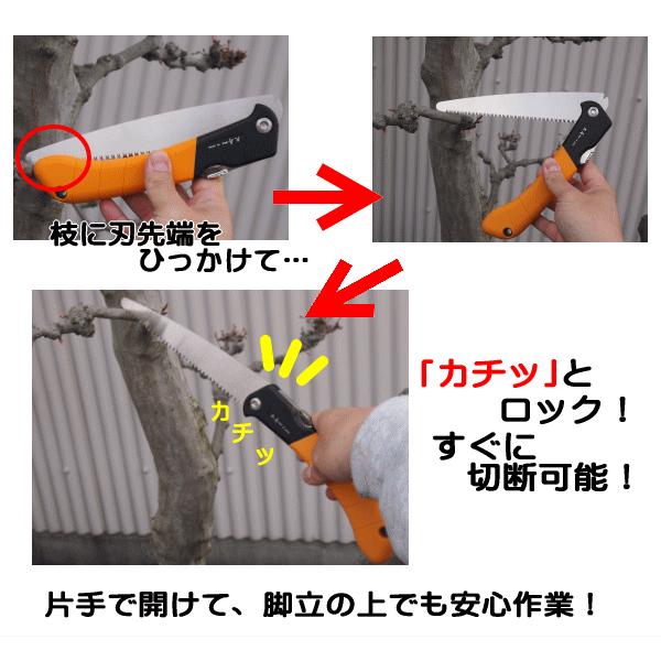 天寿 折込 剪定鋸 楽のこ 170mm 替刃 10枚組 果樹剪定用_1