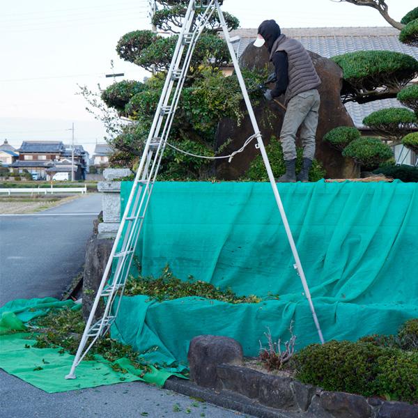 植木刈込 養生シート PP 平織り 1.8m×2.7m : ほんまもん ヤフー