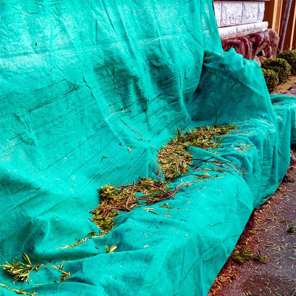 植木刈込 養生シート PP 平織り 1.8m×2.7m : ほんまもん ヤフー