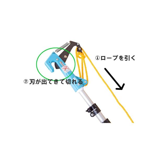 高枝切りバサミ ロープ式 伸縮 高枝切鋏 #1530 かるたか 3M はさみ