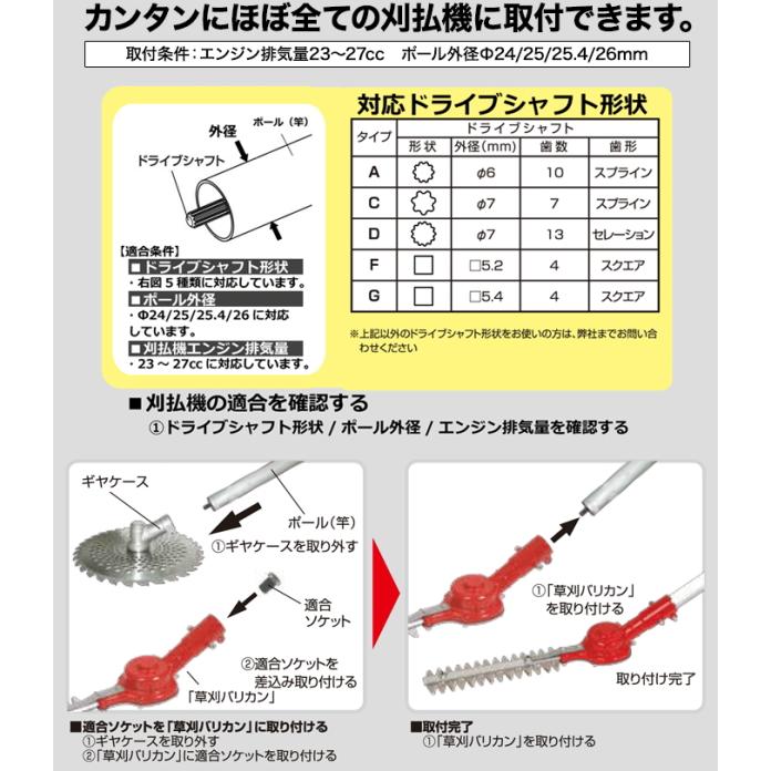 12　ニホンジカ　角　55cm 幅50cm 12 ニホンジカ 角 55cm 幅50cm