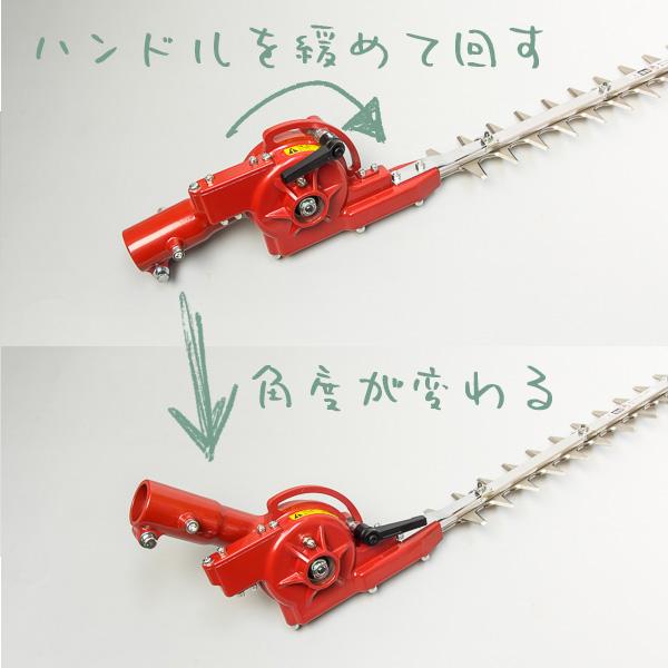 12　ニホンジカ　角　55cm 幅50cm デコール用二ホンジカの角mini・小鹿 - 流木素材市場 阿波遊木