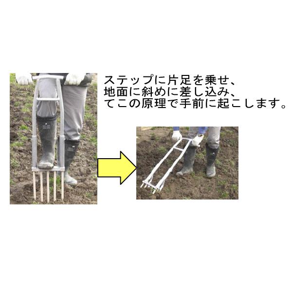 伸縮式 アルミ製 土起こし 爪取替えタイプ 深耕農具 大型商品配送C｜honmamon｜02