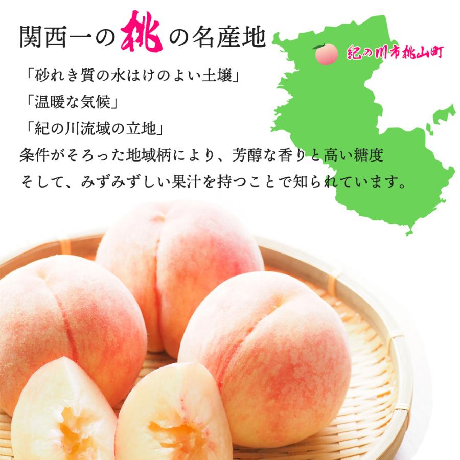 あら川の桃 あらかわ もも お中元 御中元 日川白鳳 白鳳 白桃 清水白桃