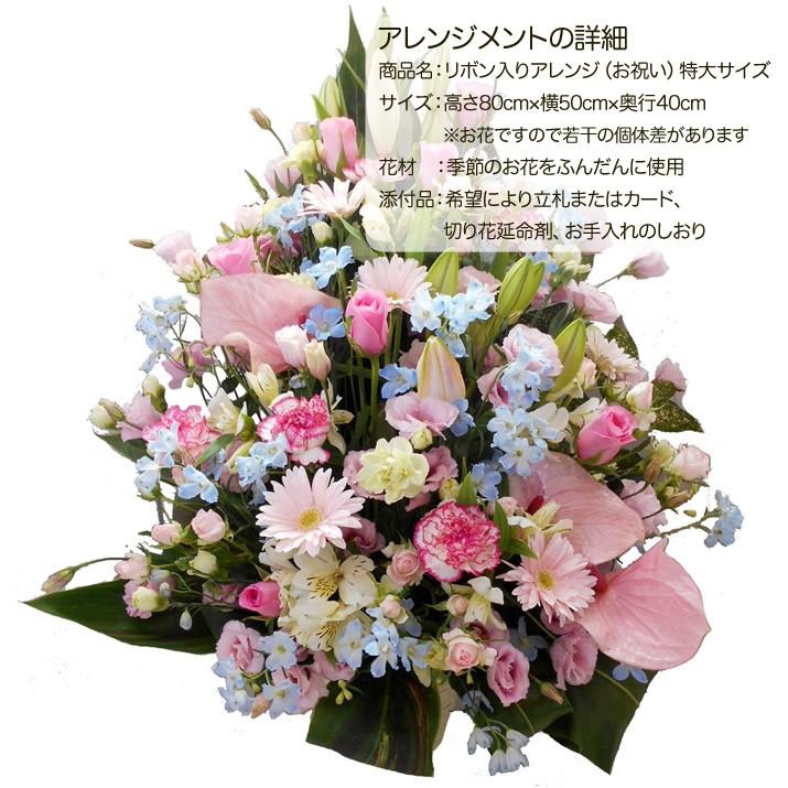 誕生日 開店祝い お祝い 御祝 卒園 卒業 退職 女性 花 フラワー 誕生日 開店祝い お祝い 御祝 卒園 卒業 退職 女性 花 フラワー