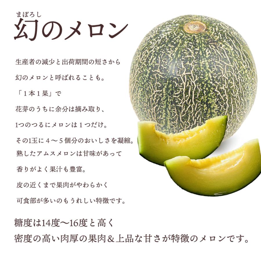 ケース 箱売り アムスメロン 赤秀品 島根 5kg 3L4L 幻のメロン ギフト 