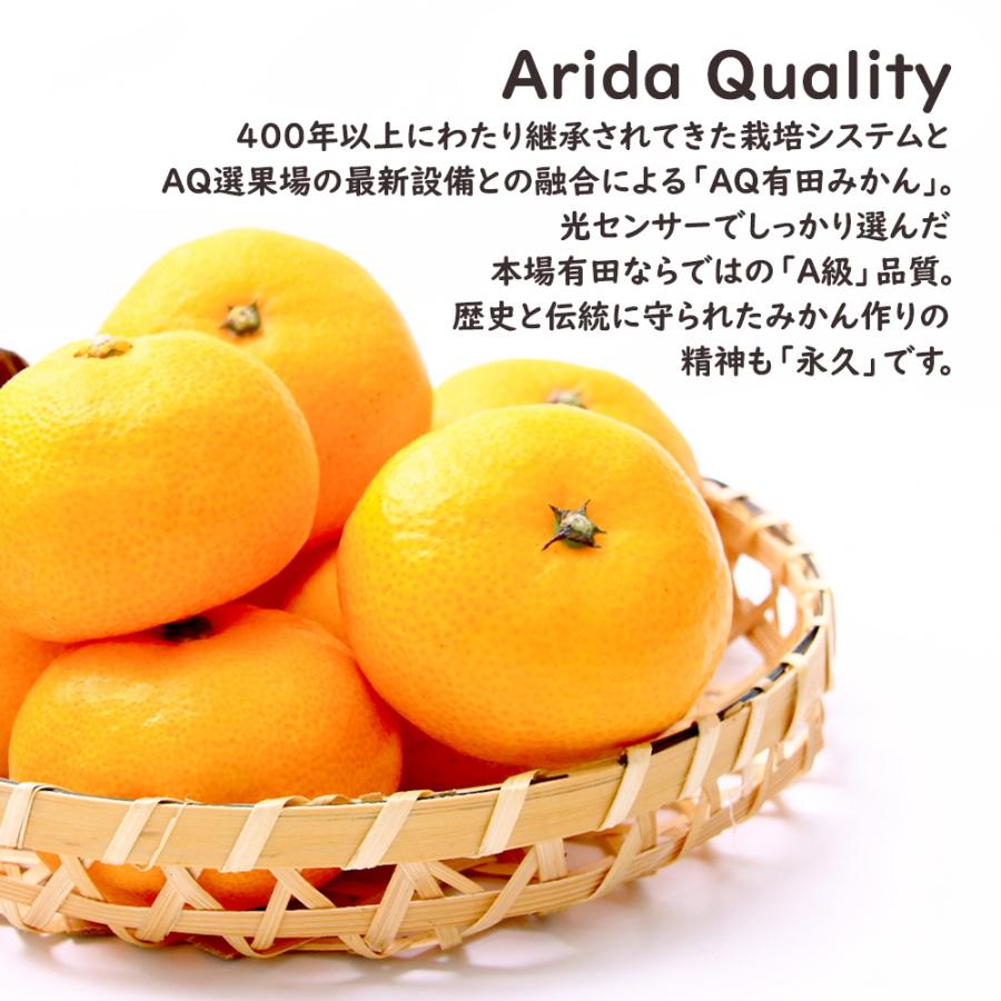 AQ有田みかん ケース 箱売り 和歌山 10kg S M ミカン 蜜柑 フルーツ