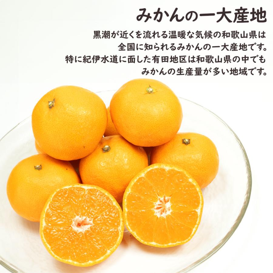 AQ有田みかん ケース 箱売り 和歌山 10kg S M ミカン 蜜柑 フルーツ