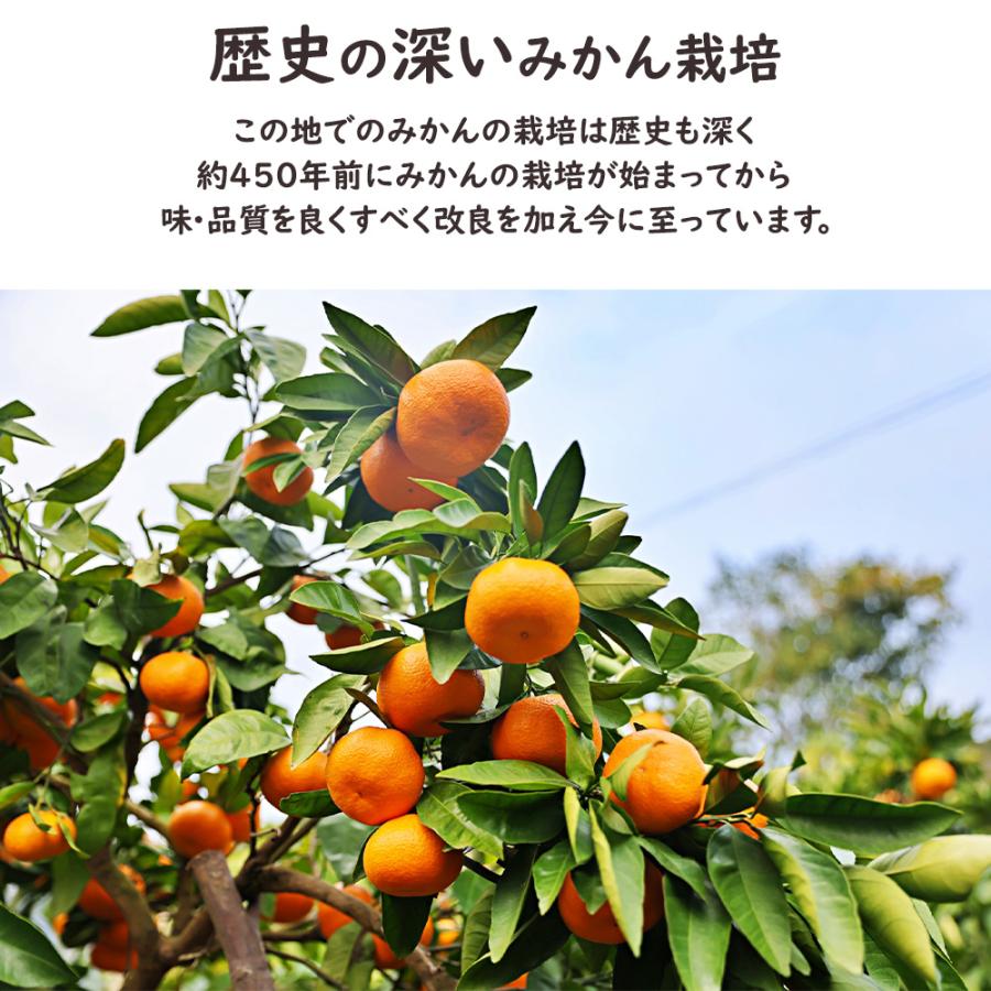 AQ有田みかん ケース 箱売り 和歌山 10kg S M ミカン 蜜柑 フルーツ
