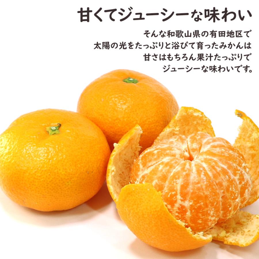 AQ有田みかん ケース 箱売り 和歌山 10kg S M ミカン 蜜柑 フルーツ
