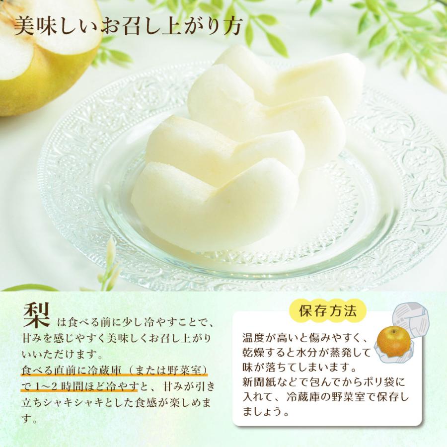 8月上旬より発送 玉水梨 ケース 箱売り 梨 福岡県限定生産 新品種 幸水